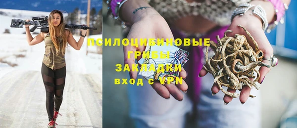 PSILOCYBIN Алексин